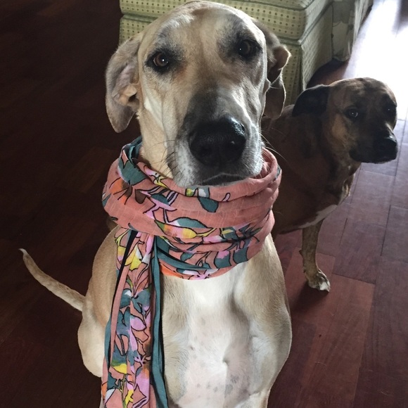 Who is @jamcat73?!?! - Picture 5 of 10